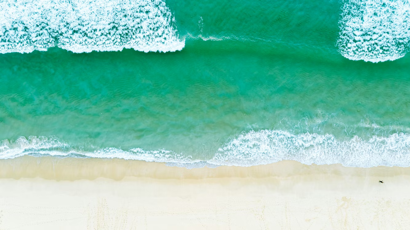 Comporta